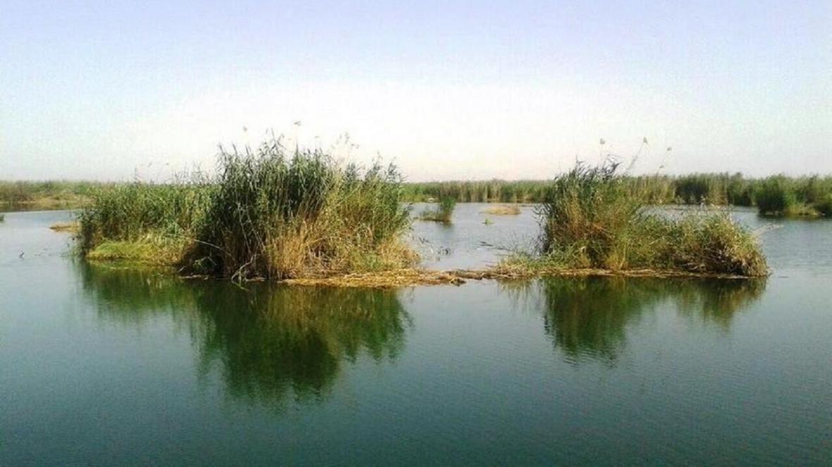 آبگیری تالاب های خوزستان برای از بین بردن کانون های گرد آبگیری تالاب های خوزستان برای از بین بردن کانون های گرد و خاک