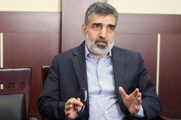 کمالوندی: نشست ایران و آژانس در سطح معاون مدیرکل خواهد بود